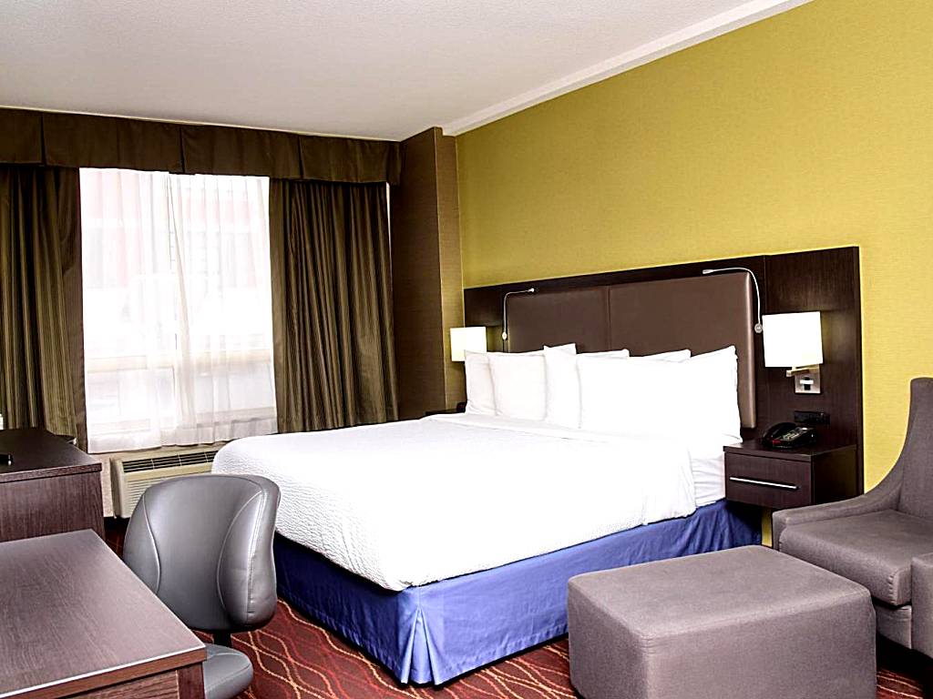 Days Inn by Wyndham Ottawa: 1 King Bed, Premium Suite, Non-Smoking